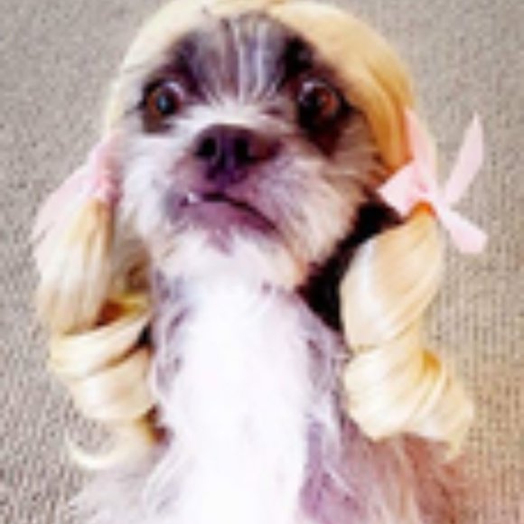 ❤ For Gemstone Jewelry Live Show Alerts! ❤️❤ Items For An Offer! - Picture 9 of 17